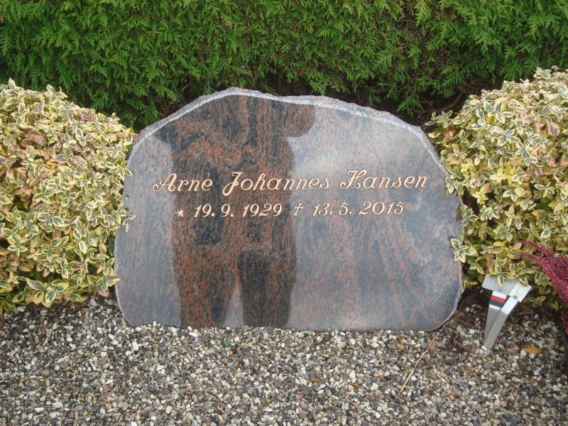 Arne Johannes Hansen.JPG